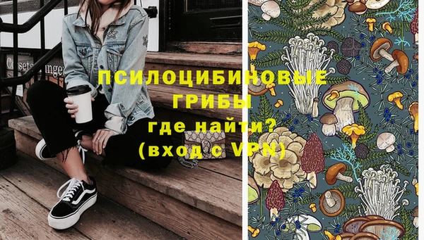 ПСИЛОЦИБИНОВЫЕ ГРИБЫ Медвежьегорск