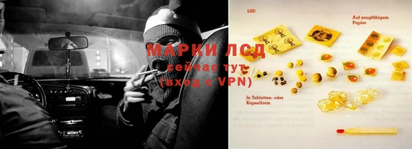 гидропоника Медногорск