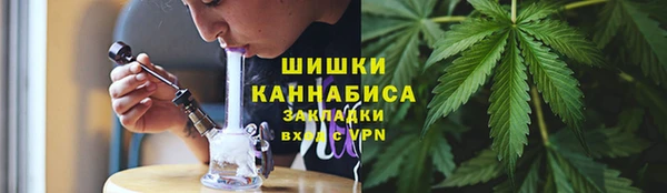 ПСИЛОЦИБИНОВЫЕ ГРИБЫ Медвежьегорск