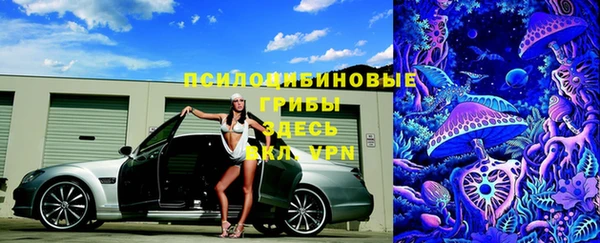 гидропоника Медногорск