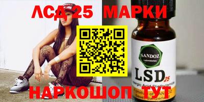ALPHA PVP Гатчина
