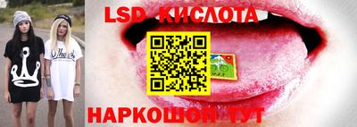 mdma Гай