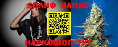ALPHA PVP Гатчина