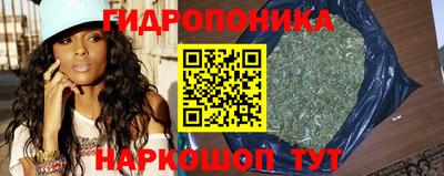 ALPHA PVP Гатчина