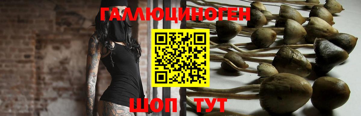 Галлюциногенные грибы Magic Shrooms  Галлюциногенные грибы MAGIC MUSHROOMS  Вход с VPN  Карабулак 